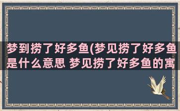 梦到捞了好多鱼(梦见捞了好多鱼是什么意思 梦见捞了好多鱼的寓意)